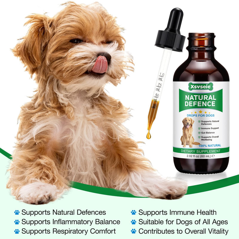 Antibiotics for Dogs, Natural Dog Immune Drops Help Supports Allergies, Itching, Coughs, Skin, Dog Antibiotics for All Breeds and Size (1PCS) 1PCS