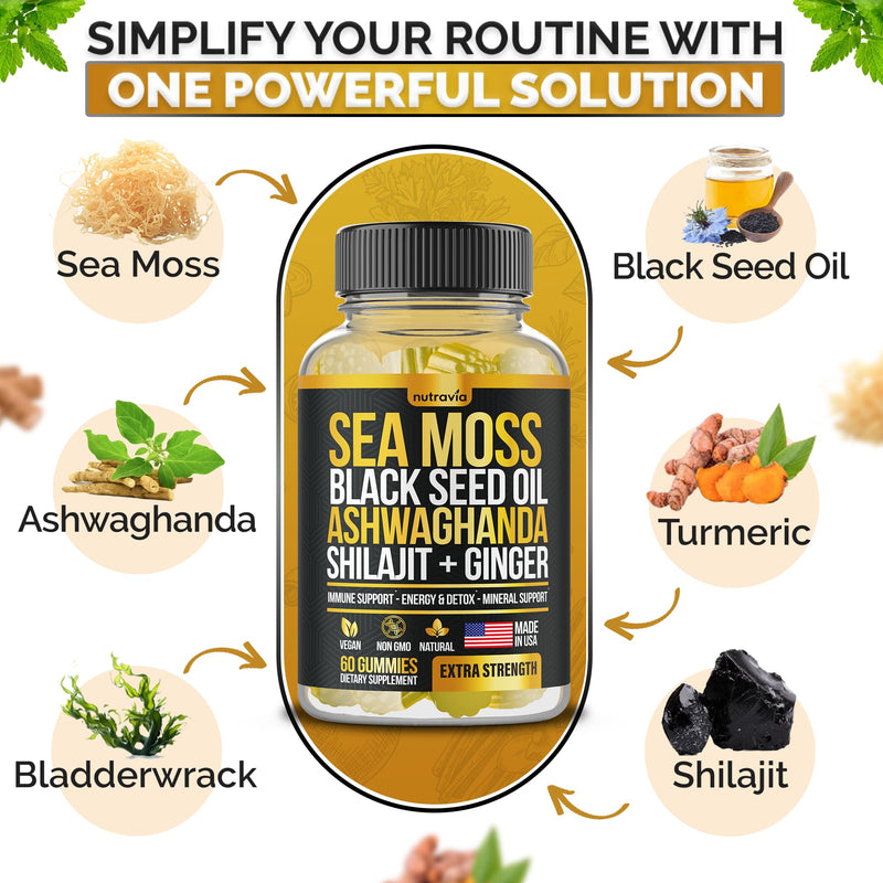 Sea Moss, Black Seed Oil, Ashwagandha, Ginger, Shilajit Gummies with Elderberry, Chlorophyll, Turmeric Bladderwrack Sea Moss Gummies Advanced Strength Formula - All in 1 Bundle - USA Made (60 Gummies)