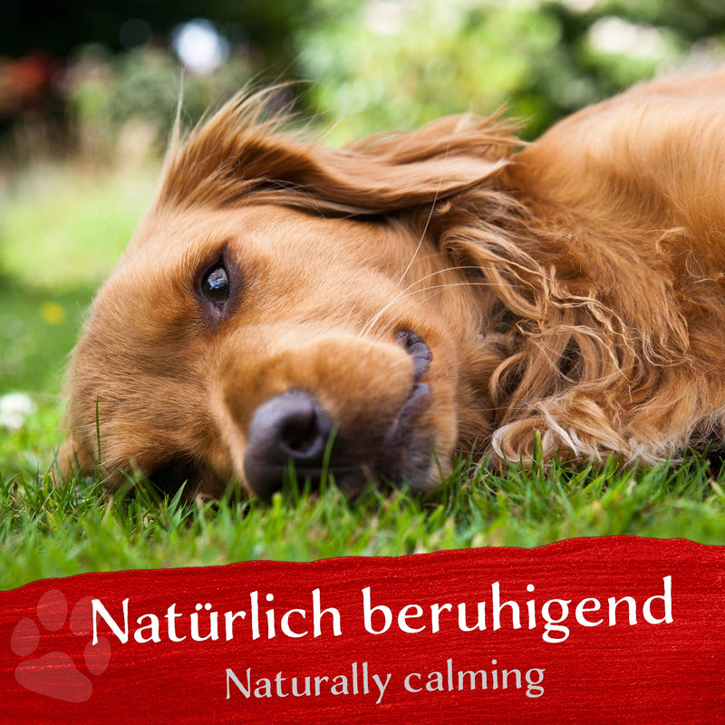 Anxiety & Stress Bach Flower Globules for Dogs & Cats - Soothing for Anxiety & Stress - Original Blend by Dr. Bach - Emergency Globules for Soothing Pets - Alcohol Free - 10g