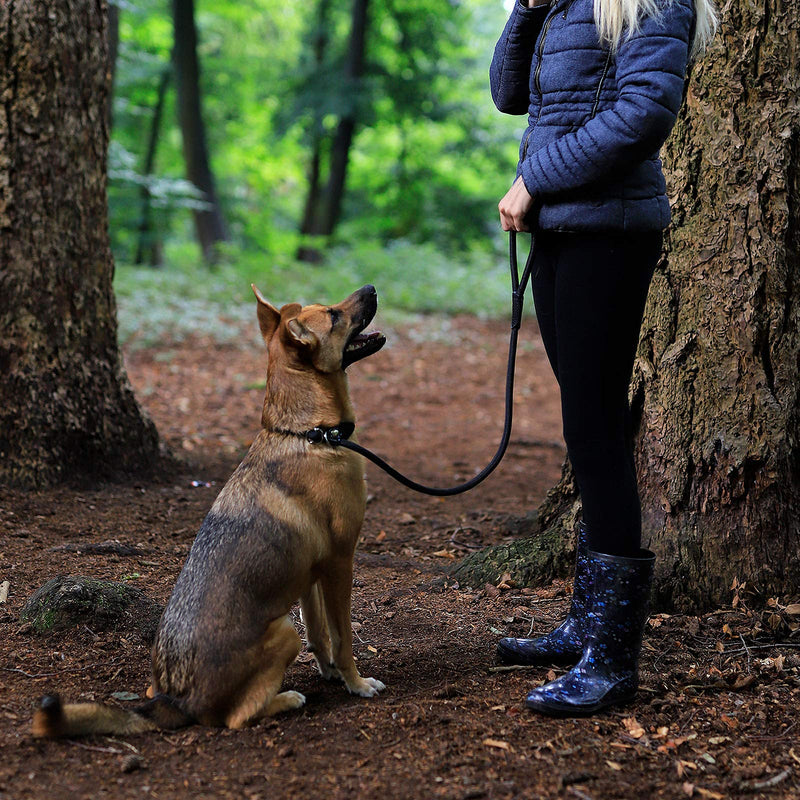 lionto retriever leash, robust and weatherproof for dogs of all sizes, quick to put on dog leash and collar in one, 170 cm, fur-friendly leash with integrated pull stop, vegan, black, length 170 cm - BeesActive Australia