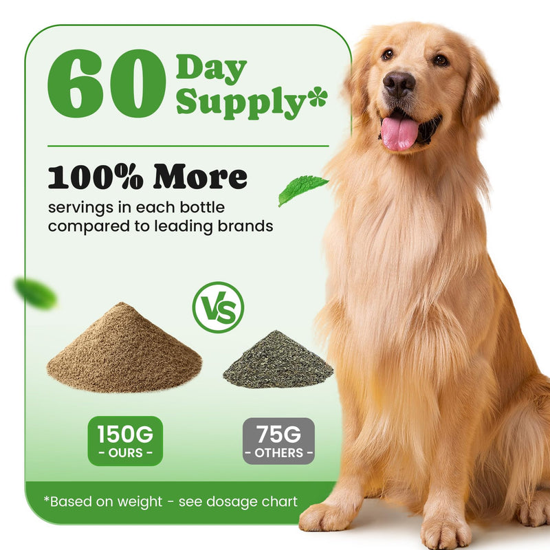 Dog Teeth Cleaning Powder, Dog Dental Powder and Cats Breath Freshener, Plaque Off Pet Tooth Cleaning lab co, Bad Breath & Tartar Remover for Dogs, Dog Teeth Cleaning with Enzymes- 60-Day Supply -Mint 5.29 Ounce (Pack of 1)