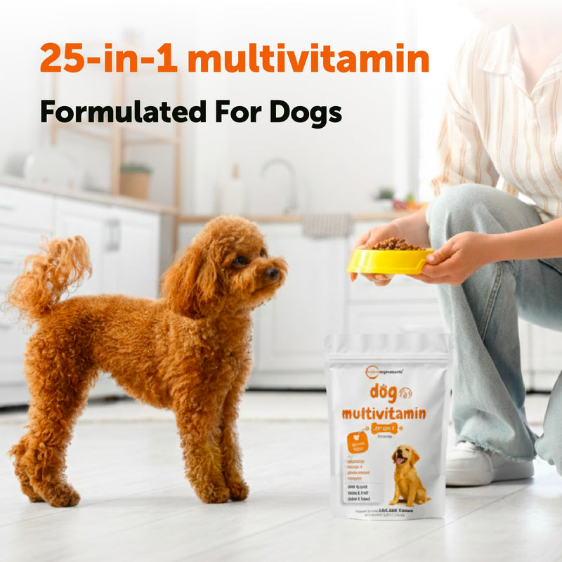 Micro Ingredients 25-in-1 Dog Multivitamin, 240 Soft Chews | Daily Essential Dog Vitamins and Supplements for Immune, Skin, Coat, Joints & Digestion Health* | Non-GMO, Chicken-Flavored
