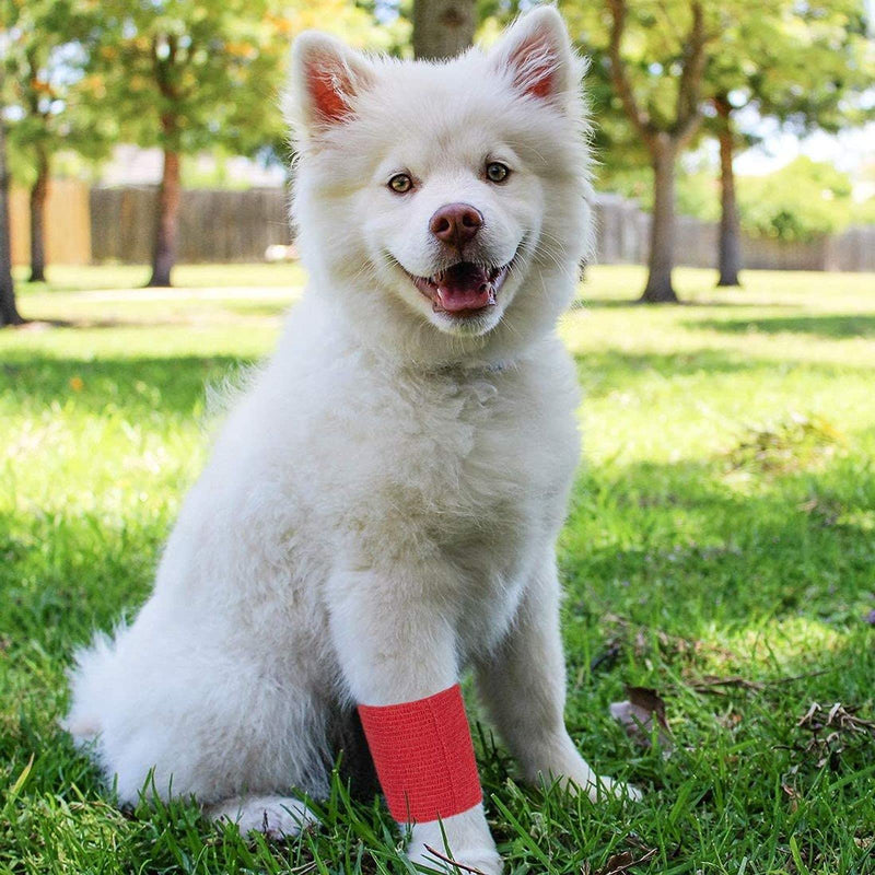 Juvale 24 Rolls Colorful Self Adhesive Bandage Wrap 3 Inch x 5 Yards - Cohesive First Aid Tape for Sports, Vet, Medical, Tattoo (12 Colors) - BeesActive Australia