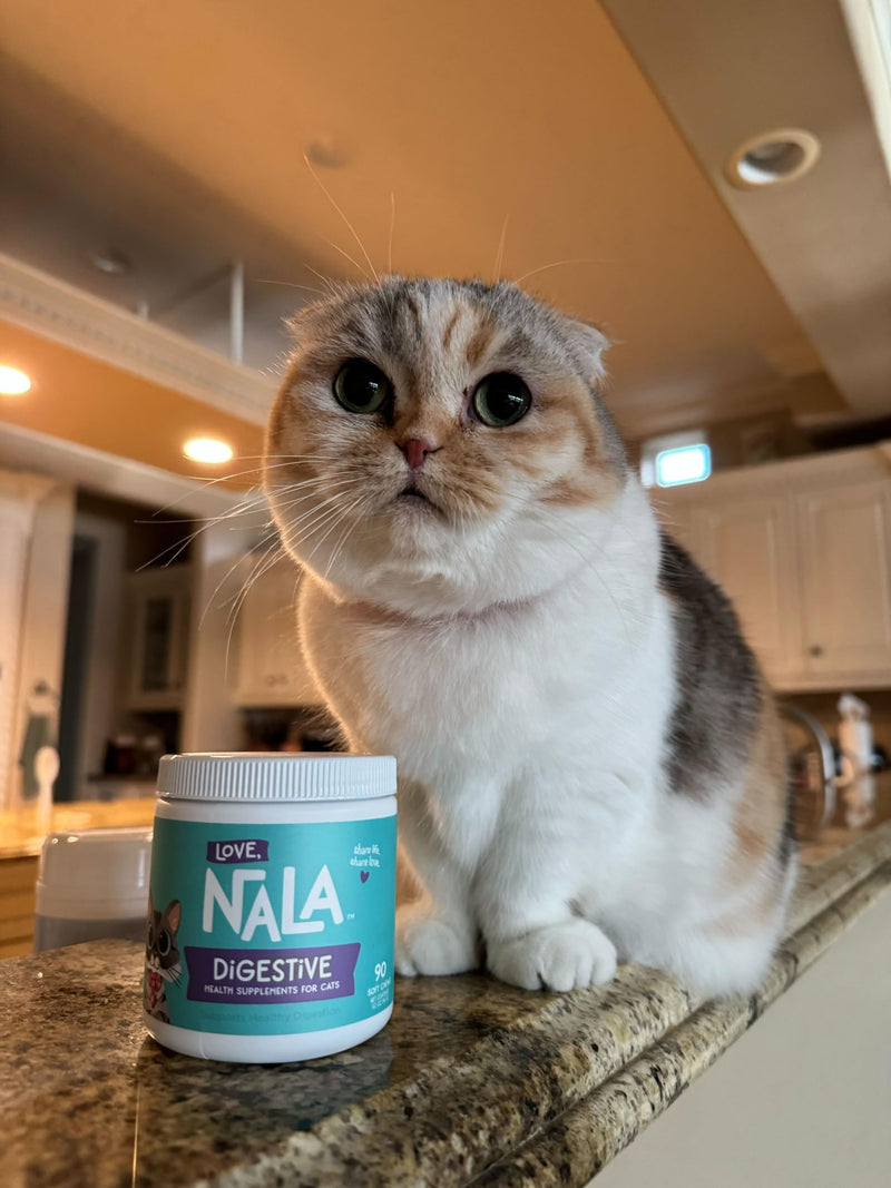 LOVE, NALA - Digestive Health Supplement for Cats - 90 Soft Chews - Digestive Enzymes - Helps Support Digestive System, Diet Changes, & Food Transitioning - 3.2 oz Digestion - BeesActive Australia