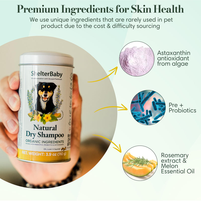 Dog Powder for Itchy Skin, Hot Spots & Yeasty Paws – Dry Shampoo for Sensitive Skin with Probiotics, Antioxidants & Prebiotics - Waterless - PawsPlanet Australia