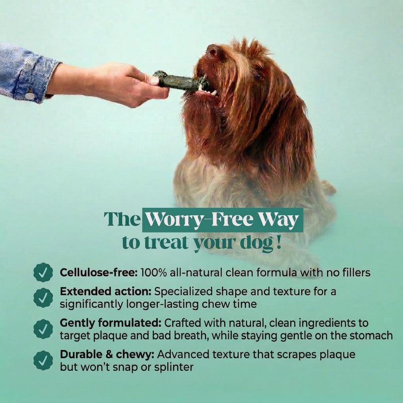 Pet Honesty Brush Buddies All Natural Dog Dental Treats for Dogs – Long Lasting Dental Sticks for Dogs, Teeth Cleaner, Breath Freshener, Plaque & Tartar Remover – Small Dogs (25 Count) Small Dog - 25 Count