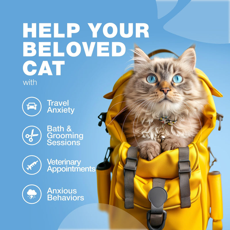 Cat Calming Treats - Hemp Calming Care for Cats - Cat Melatonin Soft Chews with Hemp Seed Oil and Probiotics - Cat Anxiety Relief - Storms, Travel, Grooming, Separation - Calming Chews for Cats 140 count