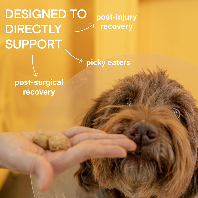 KVP Mendy Chews Multivitamin Treats for Dogs - Joint Support + Muscle Recovery - Recovery and Wellness Chew - Chicken Flavor - 60 Count - PawsPlanet Australia