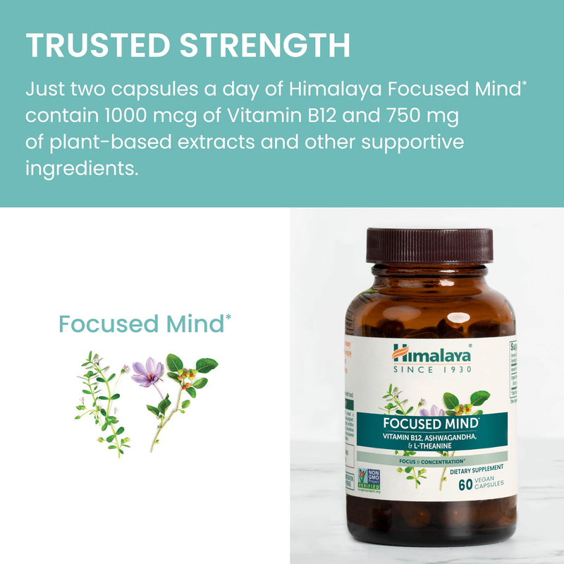 Himalaya Focused Mind Supplement with L-theanine & Vitamin B12, 60 Capsules | Focus & Energy Support with herbs like Ashwagandha & Bacopa for Attention, Brain Supplements for Memory & Focus, Gluten Free