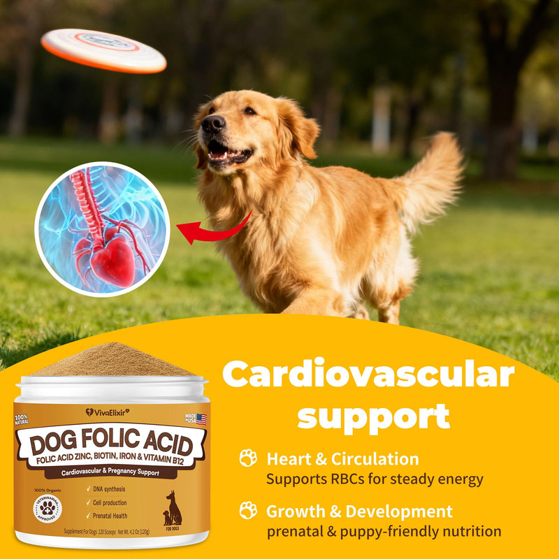 Heart Support Supplement for Dogs Aids B12& Folate Circulatory Strength, Antioxidant Cardiovascular Support, Heart Muscle Function Support DNA Synthesis & Seeking Health Prenatal 4.2oz Powder
