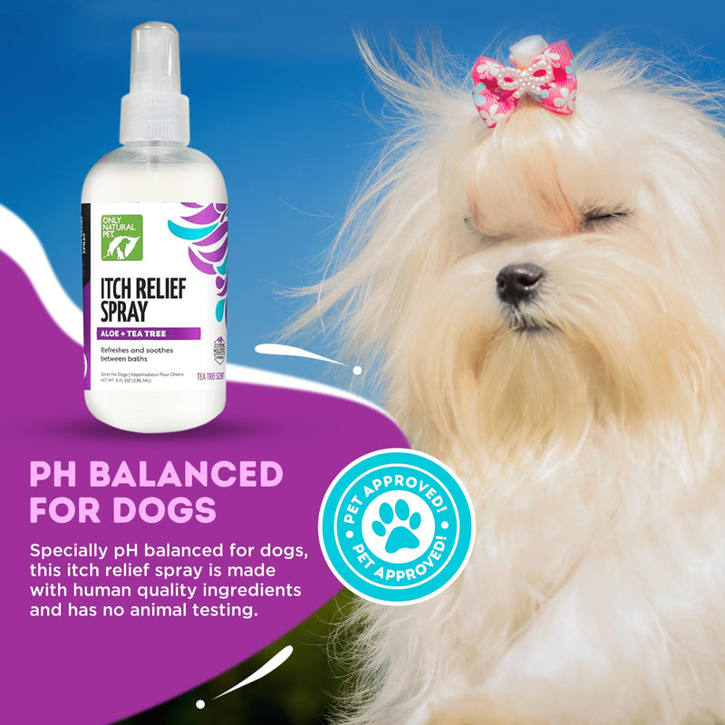 Only Natural Pet Itch Relief Spray with Aloe + Tea Tree for Dogs, Anti Itch Spray for Dogs Allergies to Soothe Dry Irritated Skin and Itchy Skin Relief - 8 oz 8 oz - Spray - PawsPlanet Australia