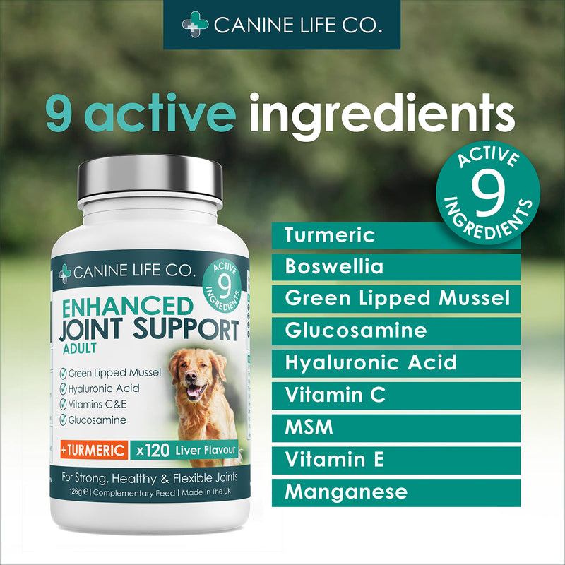 Enhanced Adult Dog Joint Supplements With Turmeric, Glucosamine & Green Lipped Mussel | 120 Chewable Tablets | Made In The UK (1 Pot (120 Tablets)) 1 Pot (120 Tablets)
