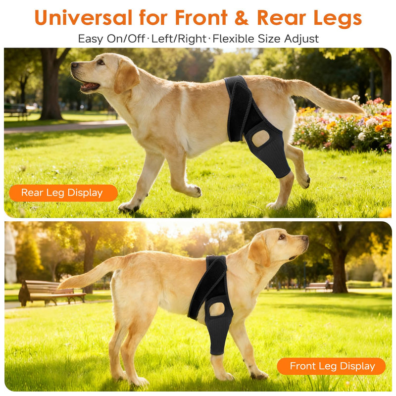 Jorme Dog Knee Brace for Torn ACL, Dog Leg Brace for Post-Surgery Recovery, Arthritis & Luxating Patella,Side Stabilizers, Breathable Neoprene, Adjustable Velcro & Belly Band,Front/Rear Legs (M) M
