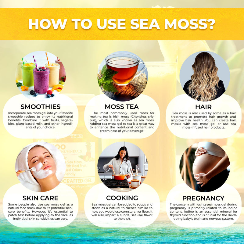 Irish Sea Moss Gel Superfood, Wildcrafted Seamoss Gel, Pineapple, 10 oz | Flavored Sea Moss Vitamin & Mineral Rich, Immune & Digestive Support, Caribbean Harvested, Musgo Marino, 1 Pack