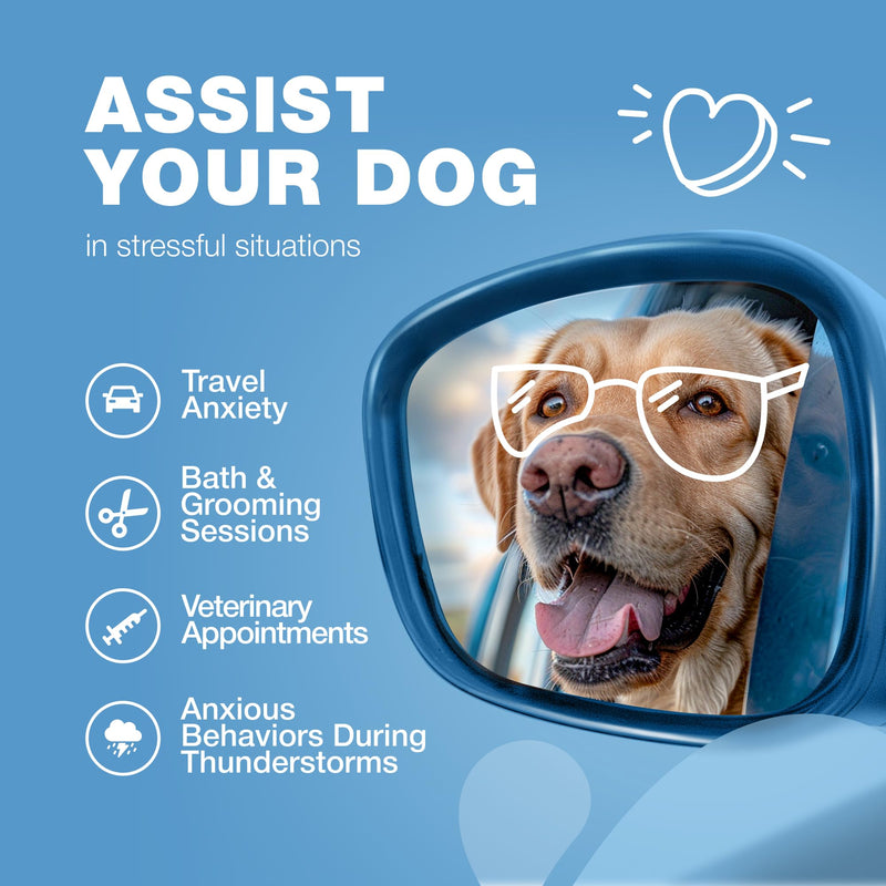 Hemp Calming Chews for Dogs - Dog Calming Treats - Anxiety Relief for Dogs with L-Theanine, Chamomile Extract, Valerian Root - Dog Anxiety Relief for Travel, Vet Visits, Thunderstorms, Nail Trimming - PawsPlanet Australia