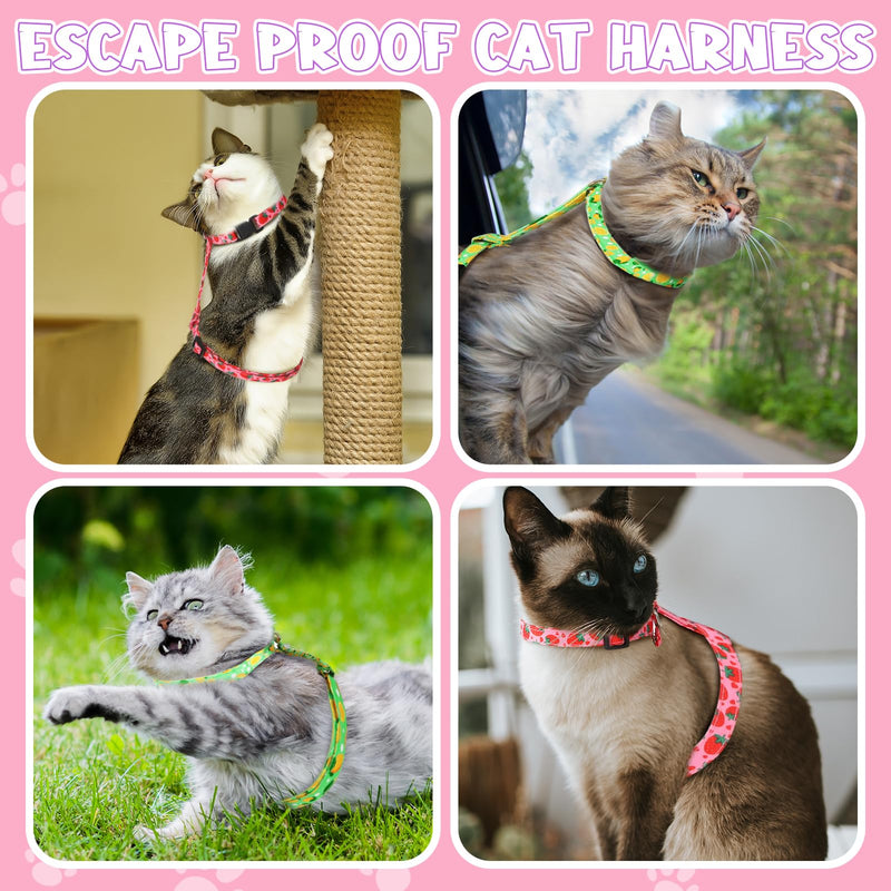 2 Pack Cat Harness and Leash, Escape Proof Adjustable Kitten Harness with Leash Collar, Lightweight Soft and Comfortable, for Small Medium Cat Safe Walking and Travel - BeesActive Australia
