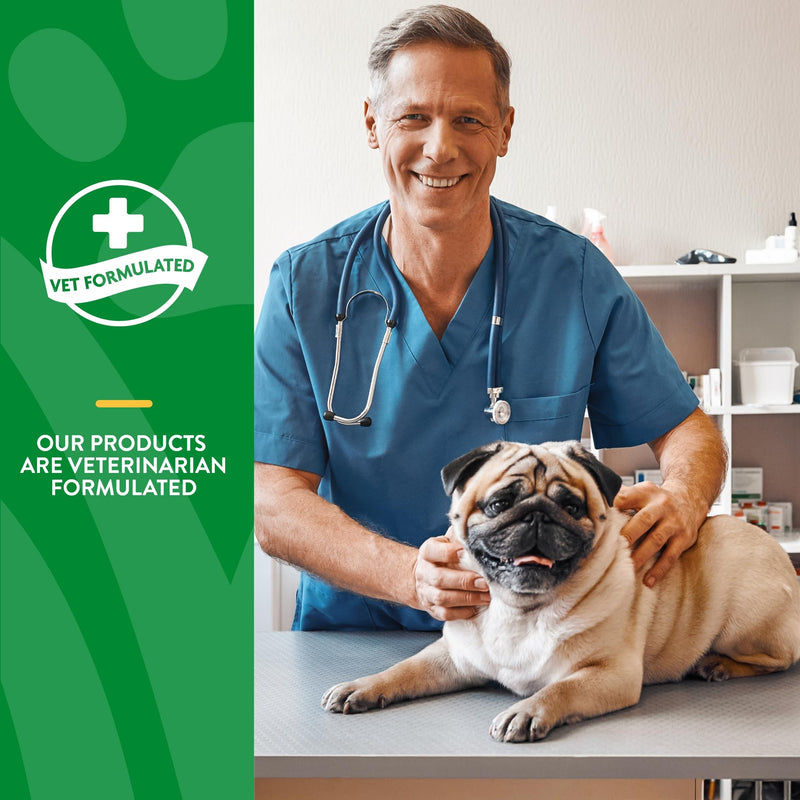 NaturVet - No Scoot for Dogs - 60 Soft Chews - Plus Pumpkin - Supports Healthy Anal Gland & Bowel Function - Enhanced with Beet Pulp & Psyllium Husk - BeesActive Australia