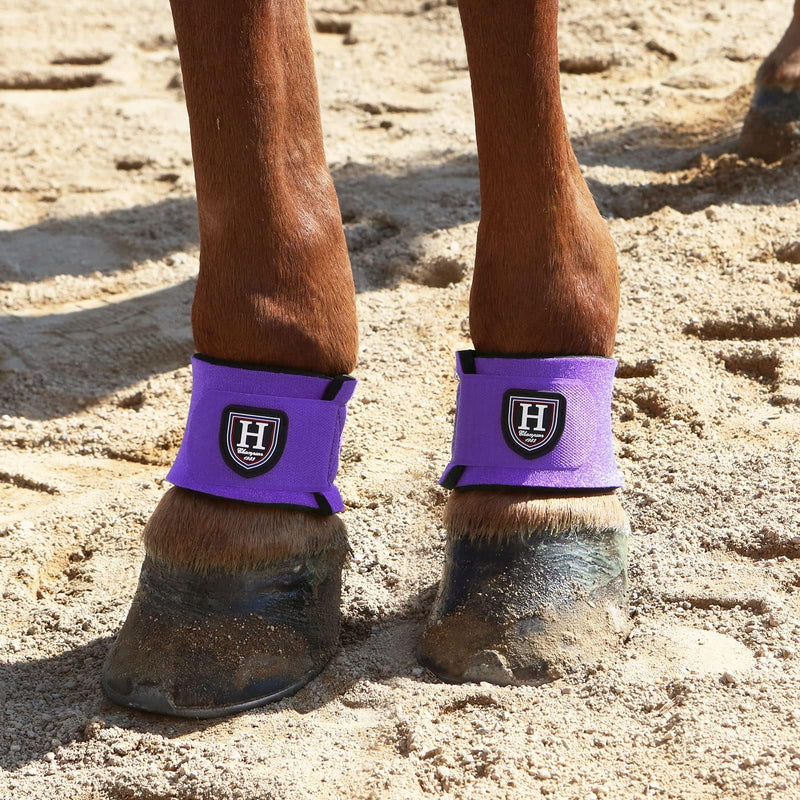 Harrison Howard Durable Shock-Absorbent Breathable Impact Protection Pastern Wraps for Horse Sold in Pairs-Purple Purple - BeesActive Australia