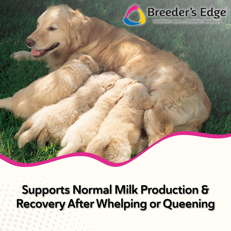 Breeder's Edge Oxy Momma Meat Chews, Postnatal Vitamin Supplement for Lactating Dogs & Cats, Provides Essential Nutrients & Herbs to Support Milk Production and Aid Mother's Recovery After Birth, 40ct | Postnatal Vitamin Supplement with Essential Nutri...