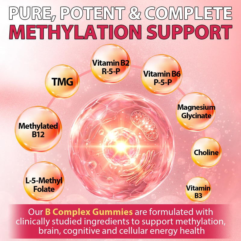 Ultra Methylated Vitamin B Complex Sugar Free Methylation Support Gummies | All B Vitamins + C D3 K2 Ashwagandha Magnesium Omega-3 CoQ10 TMG for Women Men, Methyl B12, L Methyl Folate B1 B2 B3 B5 B6 B7 60 Count (Pack of 1)