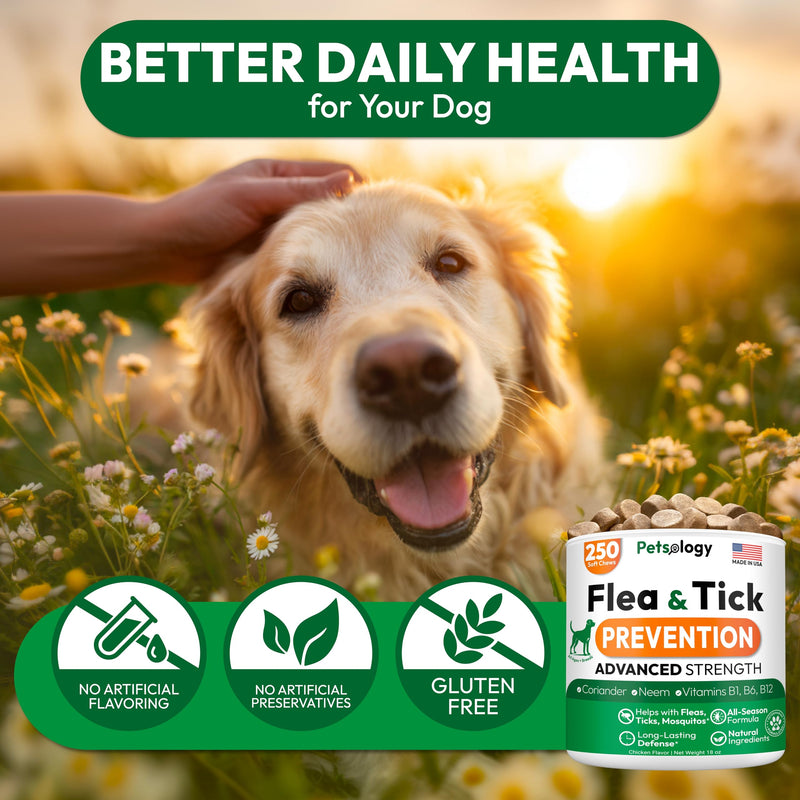 Flea and Tick Prevention for Dogs Pills - 250 Soft Chews - Natural Dog Flea & Tick Control - Oral Defense Treatment for Dogs Supplement - Vet Formulated Chews - All Breeds & Ages - Made in USA 250 Chews