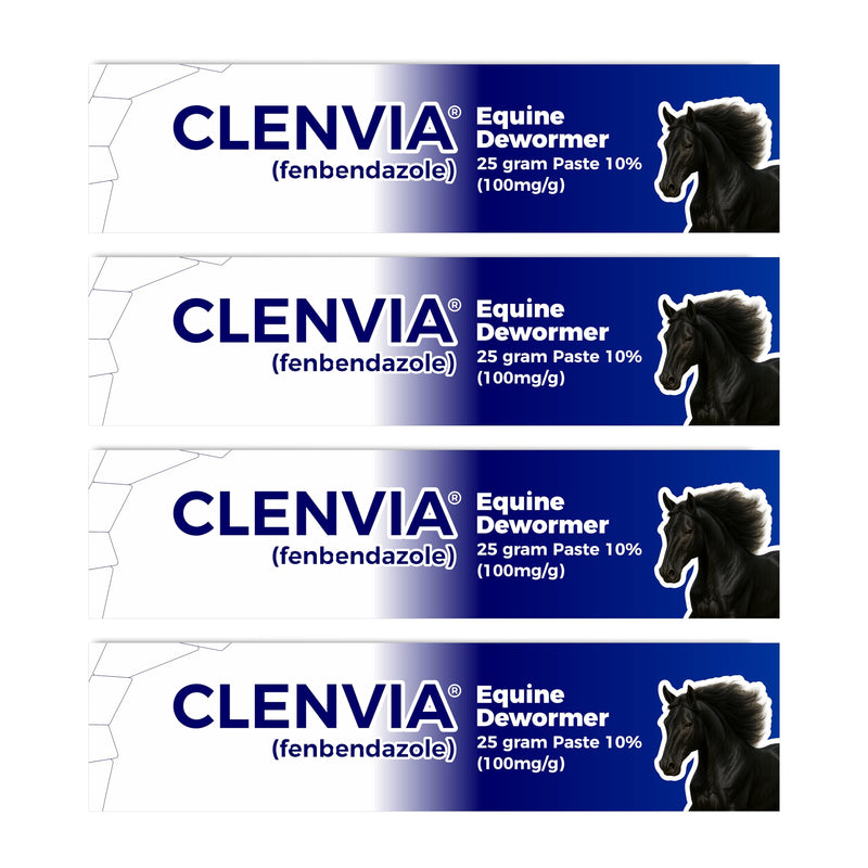 Horse Paste 10% – 4 Pack – 25g Syringes – Oral Deworming Paste for Horses of All Ages – Easy-to-Administer Equine Care PACK OF 4