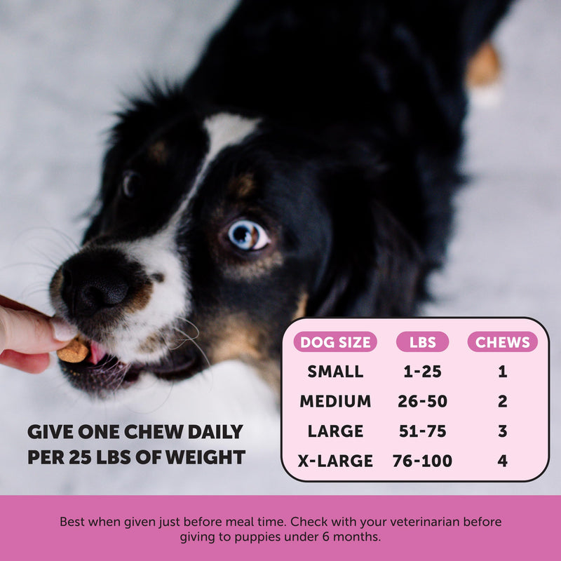 Flea and Tick Prevention & Multivitamin Virtual Bundle: Natural Flea Chews & Dog Vitamins with Glucosamine for Skin and Coat (Bacon & Peanut Butter 90 ct)