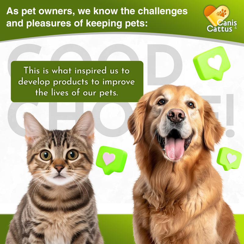 Dog Antibiotics in Drops Work as Cat UTI Treatment, Support Pets with Allergies – Natural Antibiotics for Dogs Care for Digestion and Breathing in All Pet Sizes and Breeds – 2 oz 2 Fl Oz