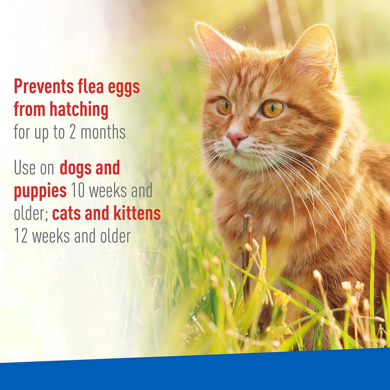 Adams Plus Flea & Tick Spray 8 fl oz - BeesActive Australia