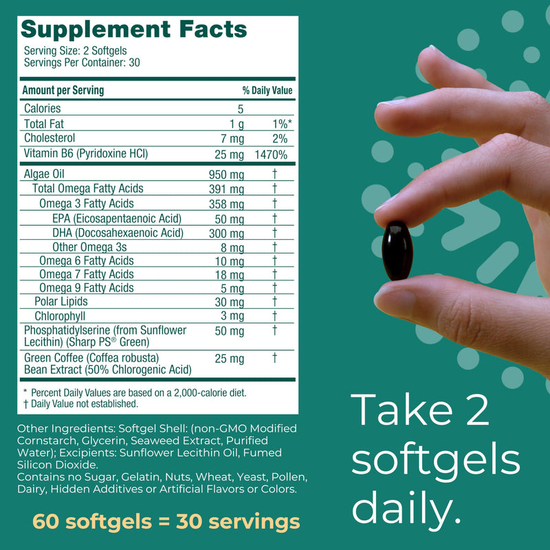 Iwi Life Brain Omega-3, 60 Softgels (30 Servings), Vegan Plant-Based Algae Omega-3 with EPA + DHA, Focus, Memory and Mood Support Dietary Supplement, Krill & Fish Oil Alternative, No Fishy Aftertaste 30 Servings