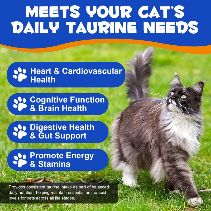Taurine for Cats – Essential Amino Acid Powder Supplement – Taurine Powder for Cats Helps Maintain Normal Heart & Eye Function – High Purity (99%+) Formula for Kittens, Adult & Senior Cats,200g
