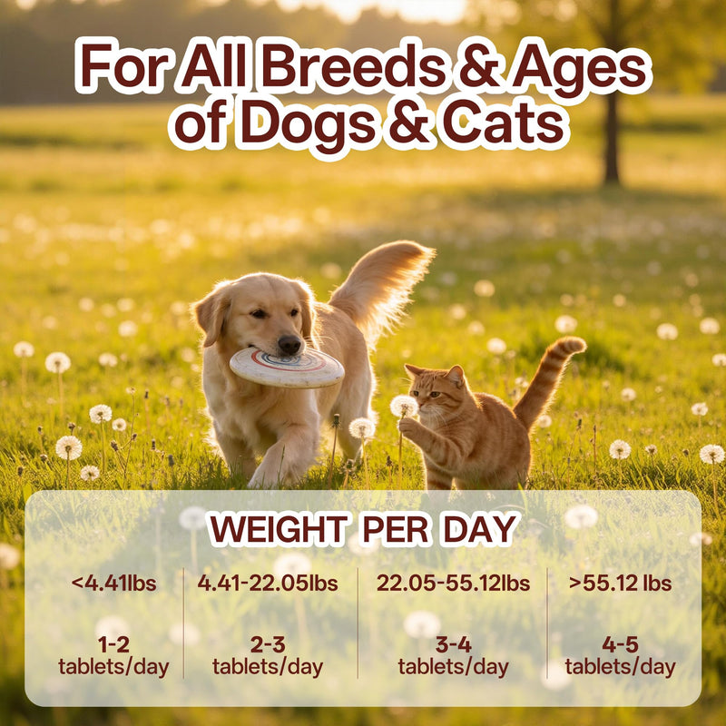 Joint Supplement for Dogs & Cats, Chondroitin Sulfate & Calcium Carbonate, Supports Hip, Joint & Bone Health, Chelated Trace Minerals for Skin & Coat, Meat Formula for All Breeds, 140 Chewable Tablets