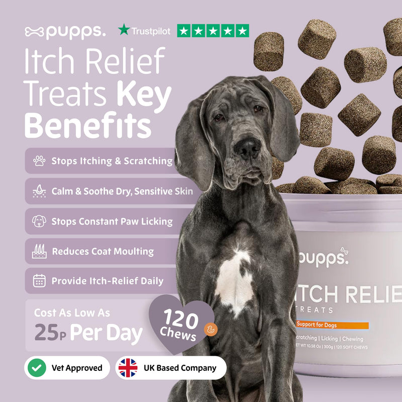 Pupps Itch Relief Dog Treats – 120 Natural Anti-Itch Chews for Dogs | Soothes Itchy Skin, Paws & Ears | With Colostrum, Turmeric & Salmon Oil | Allergy & Skin Support | Vet Approved, UK Made 120 x Chews