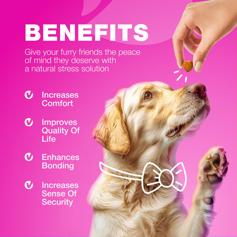 Dog UTI Treatment - Dog Cranberry Supplement for Bladder & Kidney Health, Urinary Tract, Incontinence Support - Cranberry Supplement for Dog Incontinence - Bladder Control Cranberry Chews Duck 180 count - PawsPlanet Australia