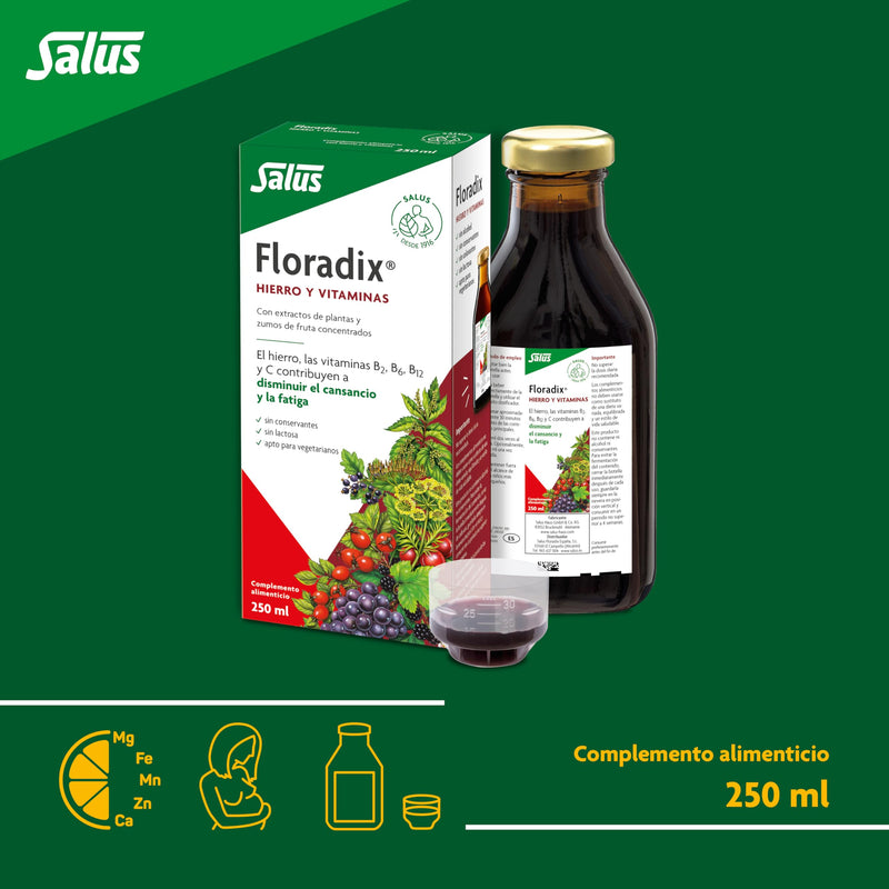 Floradix Liquid Iron and Vitamin Formula 250ml | Helps reduce tiredness and fatigue, with iron and vitamins 8.5 Fl Oz (Pack of 1)