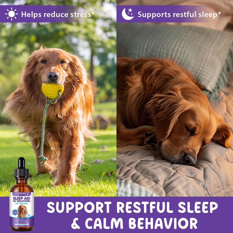Melatonin for Dogs, Dog Melatonin, Anxiety Relief & Sleep Aid for Dogs, Liquid Calming Drops for dogs & cats, Helps with Noise, Fireworks, Separation Anxiety & Travel Stress, Bacon Flavor, 60ml