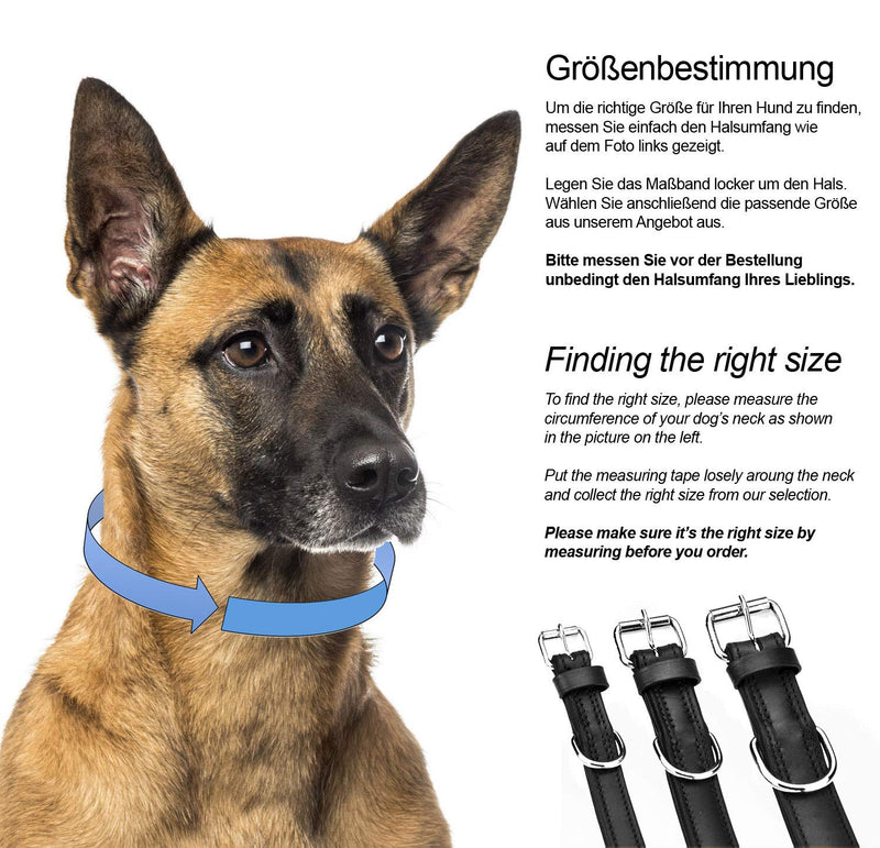 Schnüffelfreunde collar for dogs made of leather, dog collar for large, medium and small dogs, padded leather collar, robust (L - 36-45cm, black) L - 36-45cm - BeesActive Australia