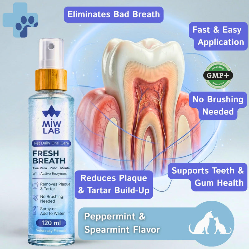 Oral Spray for Dogs and Cats Against Bad Breath with Digestive Enzymes Mild Mint Aloe Vera Zinc Water Additive Eliminates Bad Odor without the need for a Dog or Cat Toothbrush