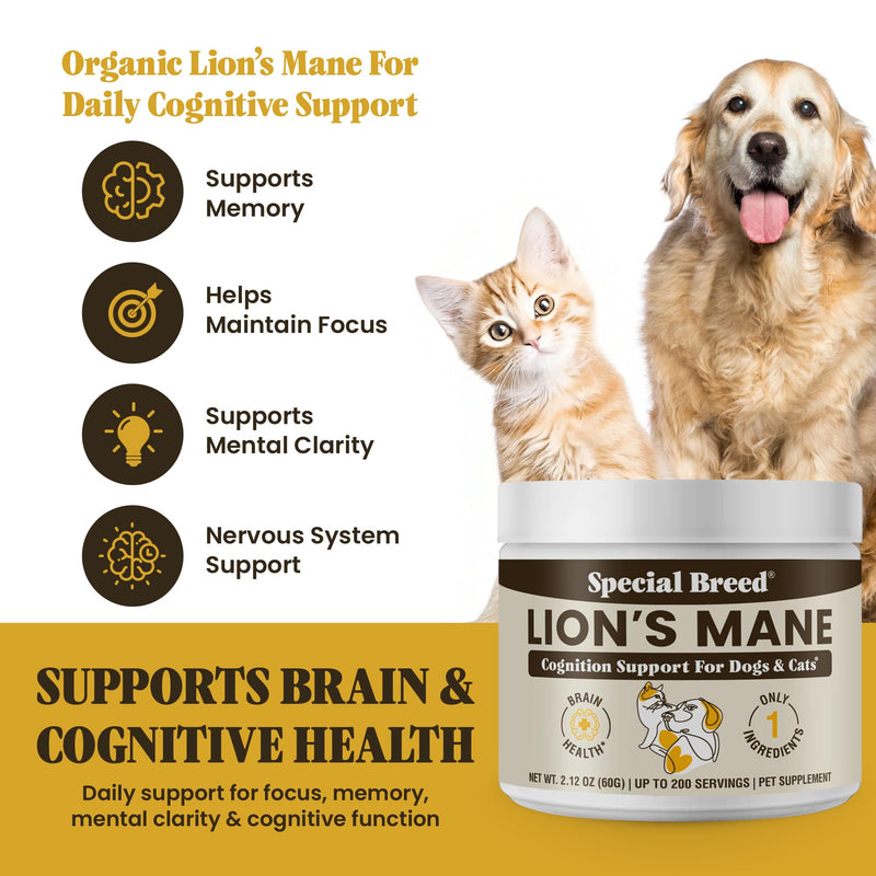 Lion’s Mane for Dogs & Cats - Cognitive & Brain Support Supplement - Supports Memory, Focus & Nervous System Health - Organic Mushroom Powder - 200 Servings