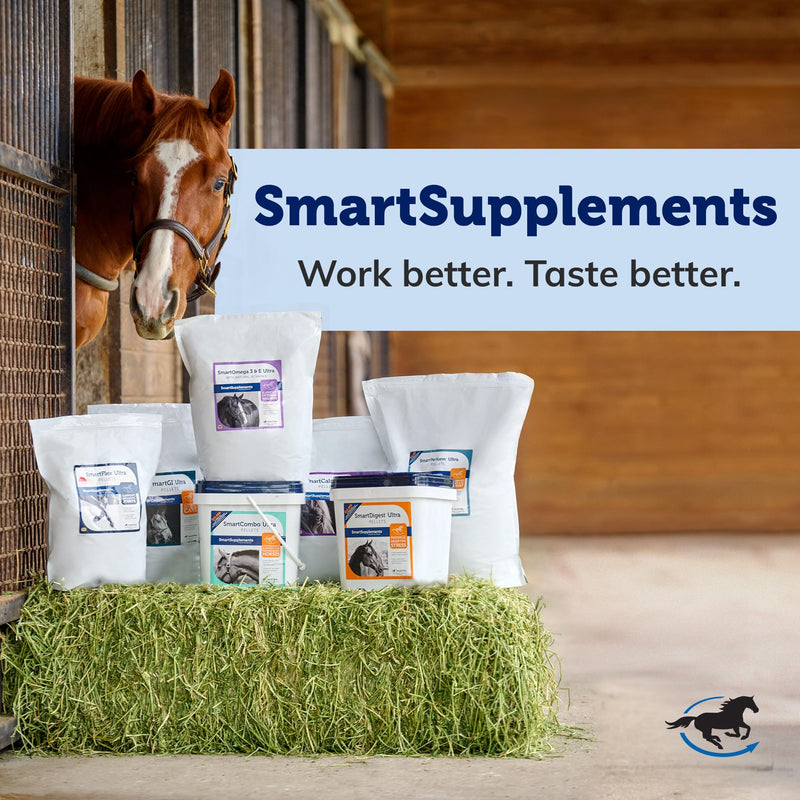 SmartPak SmartDigest Ultra Paste Digestive Health and Support Horse Supplement | Provides Prebiotics, Probiotics, Digestive Enzymes, Butterscotch Flavor, Pack of 6 Tubes - PawsPlanet Australia