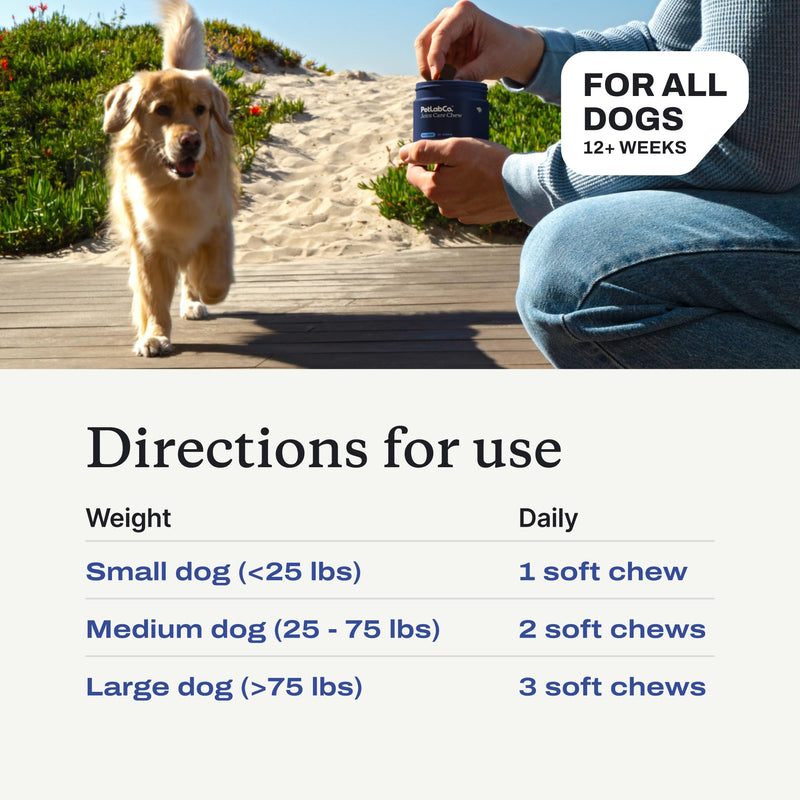 PetLab Co. Joint Care Chews - High Levels of Glucosamine for Dogs, Green Lipped Mussels, and Omega 3 - Dog Hip and Joint Supplement to Actively Support Mobility - Packaging May Vary - Salmon Single Pack