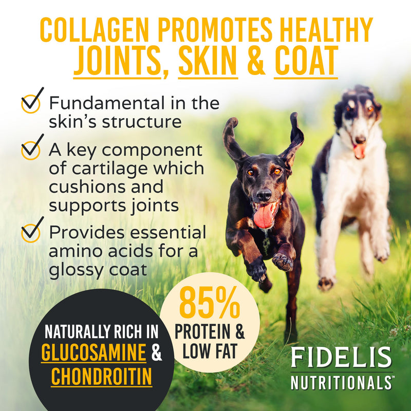 FIDELIS Skin and Coat Supplement for Dogs (120 Vitamin Soft Chews) - Fidelis Collagen Chews Sticks for Dogs – Natural, Healthy Chew for All Dog Sizes - 4 Pack - BeesActive Australia