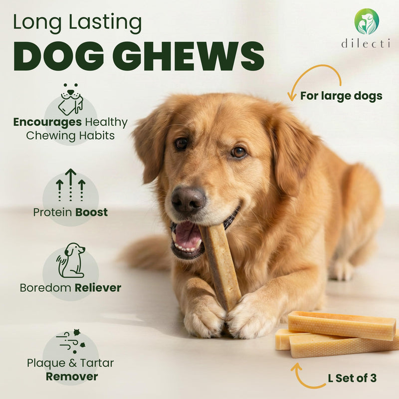 Natural Cheese Bones - Delicious Long Lasting Dog Chews for Large Dogs, Dog Treats for Dental Care, Dental Sticks for Healthy Teeth, Hard Cheese Bone Chew Toys, Yak Chew - L Size, 3 Pack