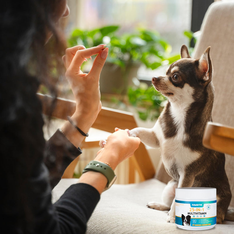 Dog Multivitamin Chews 90ct – 25-in-1 Daily Complete Nutrition Soft Chews with Vitamins, Minerals, Probiotics, Salmon Oil & Digestive Enzymes for Overall Wellness