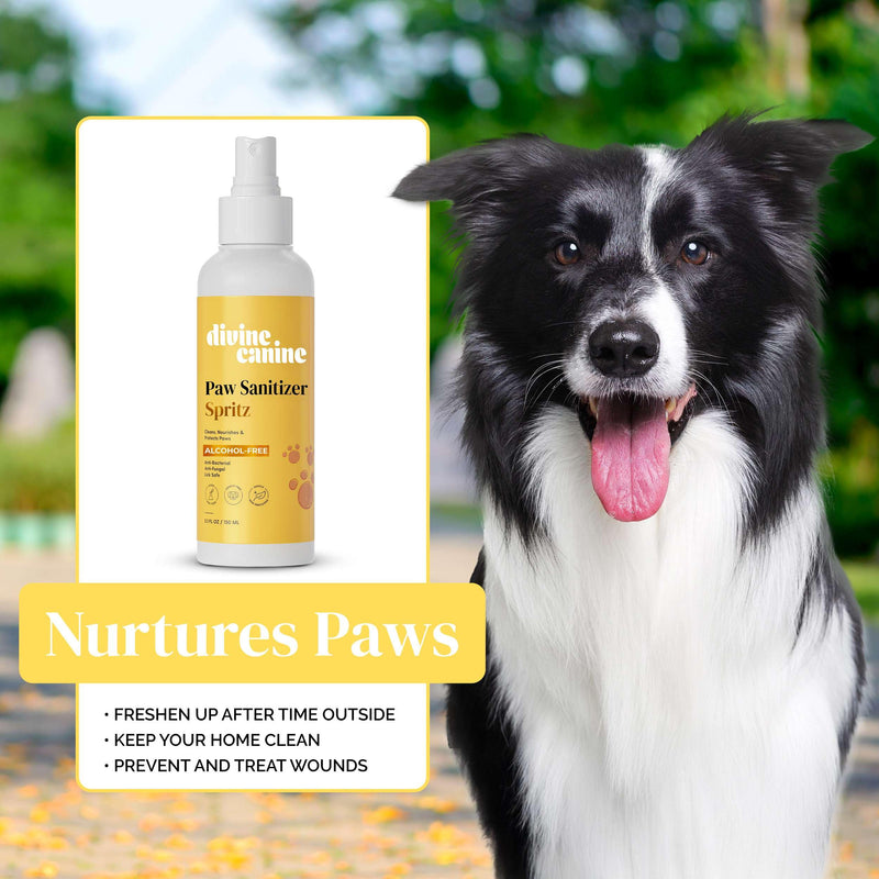 Dog Paw Cleaner - 5.1 Fl Oz of Alcohol Free Paw Sanitizer Spritz - Made with Aloe, Copaiba Oil, and Lemongrass Oil to Nourish and Clean Paws - Made in The USA Original - BeesActive Australia