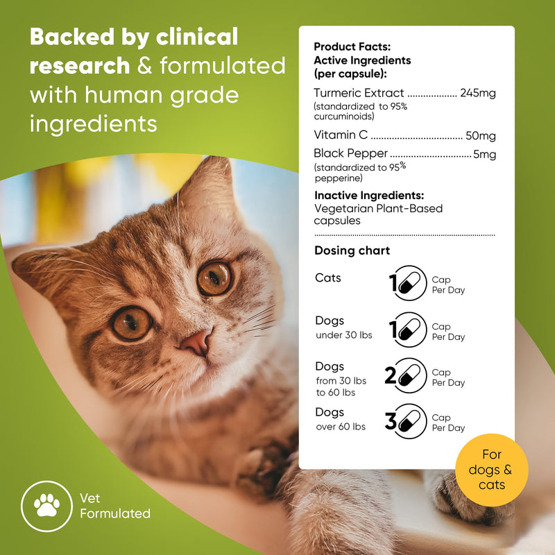 Turmeric - Turmeric Supplement for Dogs and Cats - with Curcumin, Piperine and Vitamin C for Anti-Inflammatory Relief - 60/ct - BeesActive Australia