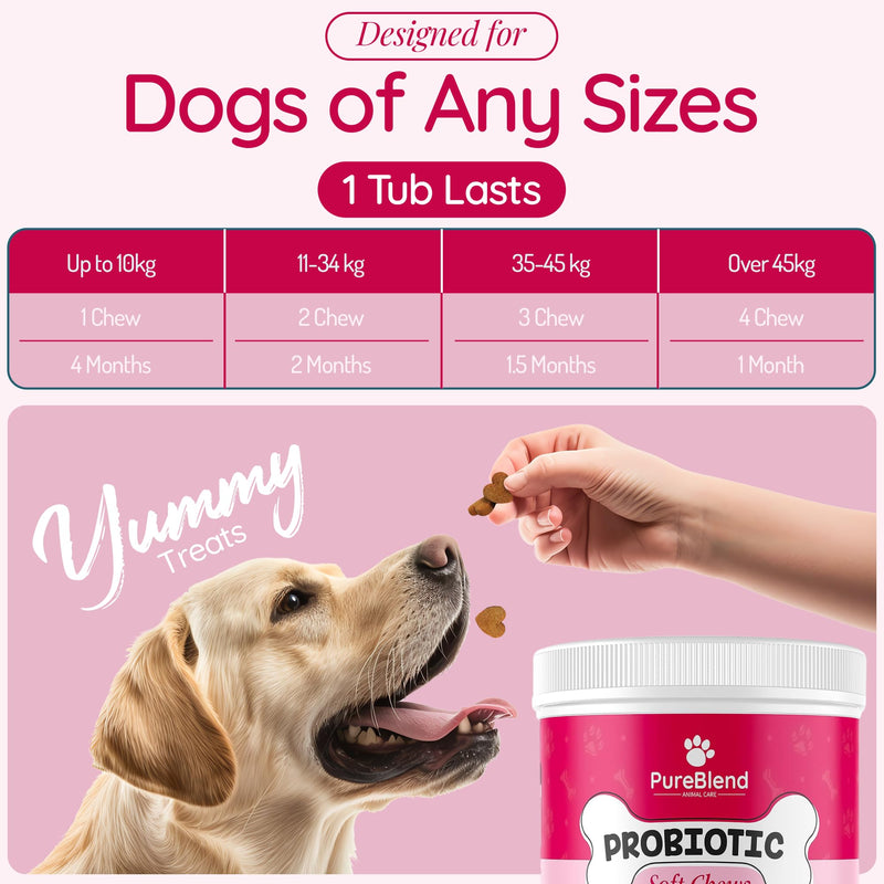 PureBlend Probiotic Soft Chews for Dogs — Dog Gut Health Supplement with Pumpkin, Prebiotics, Enzymes & Vitamins — 120 Chews, Up to 4 Month Supply