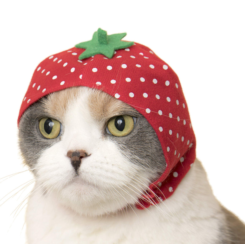 Kitan Club Cat Cap - Pet Hat Blind Box Includes 1 of 6 Cute Styles - Soft, Comfortable - Authentic Japanese Kawaii Design - Animal-Safe Materials, Premium Quality (Fruit) - BeesActive Australia