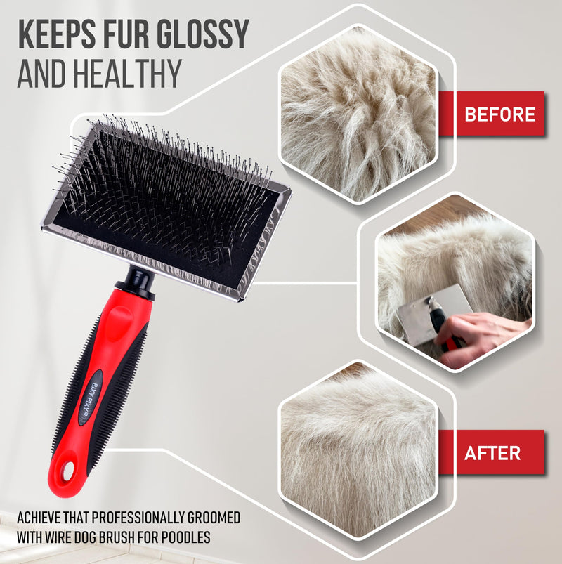 Slicker Brush for Dogs With Coated Tips - Extra Long Pins Removes Tangles - Doodle and Goldendoodle Brush Goes Deep Into Undercoat - Golden Retriever Brush for Shedding - Cepillo Para Perros 1 Count (Pack of 1) - BeesActive Australia