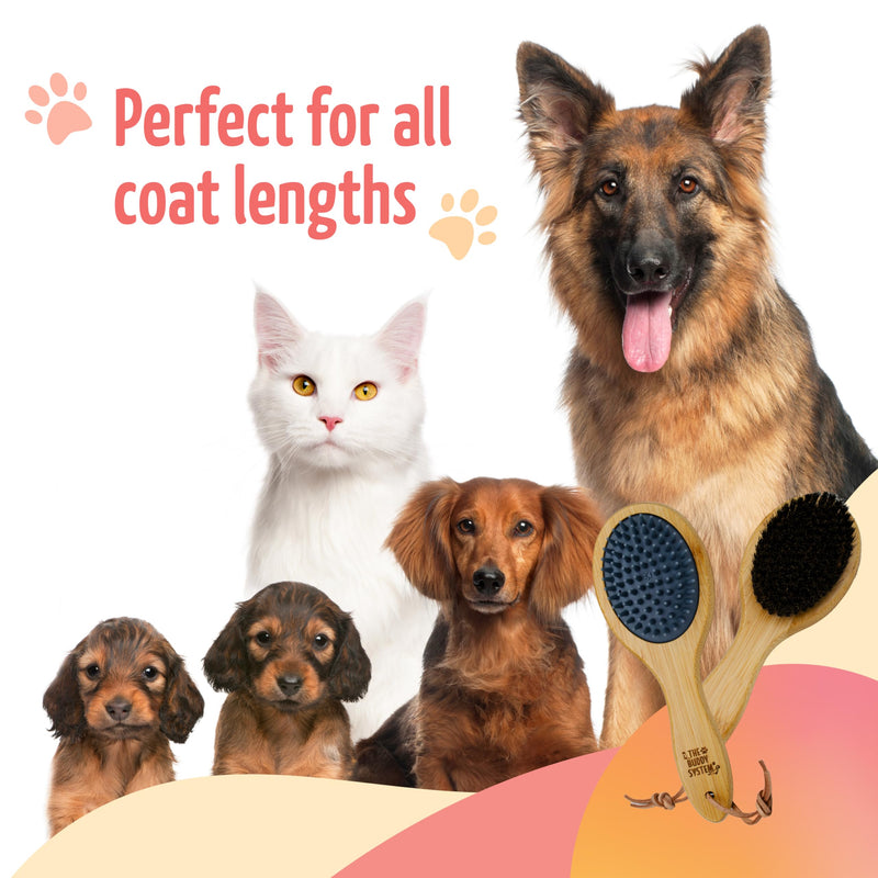 The Buddy System Combo Bristle Pet Brush, 2-in-1 Brush, Durable Rubber Side and Soft Boar Bristle Side - All Pets and Coat Lengths - Top Coat Massage for Cats & Dogs - 1 pack 1-pack Combo Brush - BeesActive Australia
